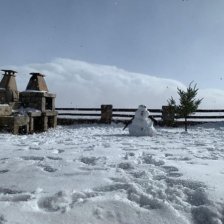 Mountain Chalet Covilhã Екстериор снимка